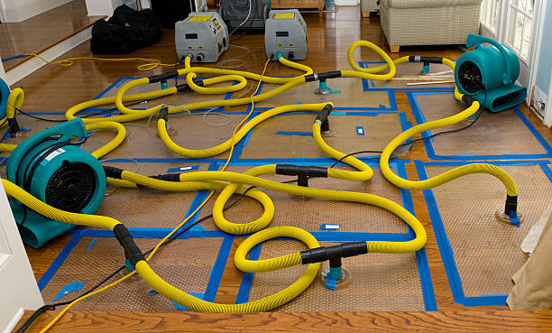 Professional Structural Drying And Dehumidification technician working in Sunnyside, WA